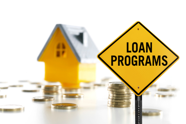 Government loan programs Government loan programs